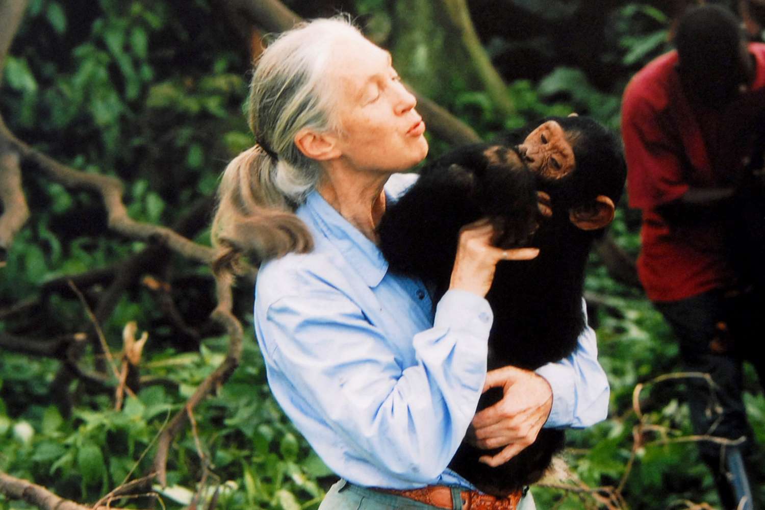 Legendary chimpanzee zoologist was 91