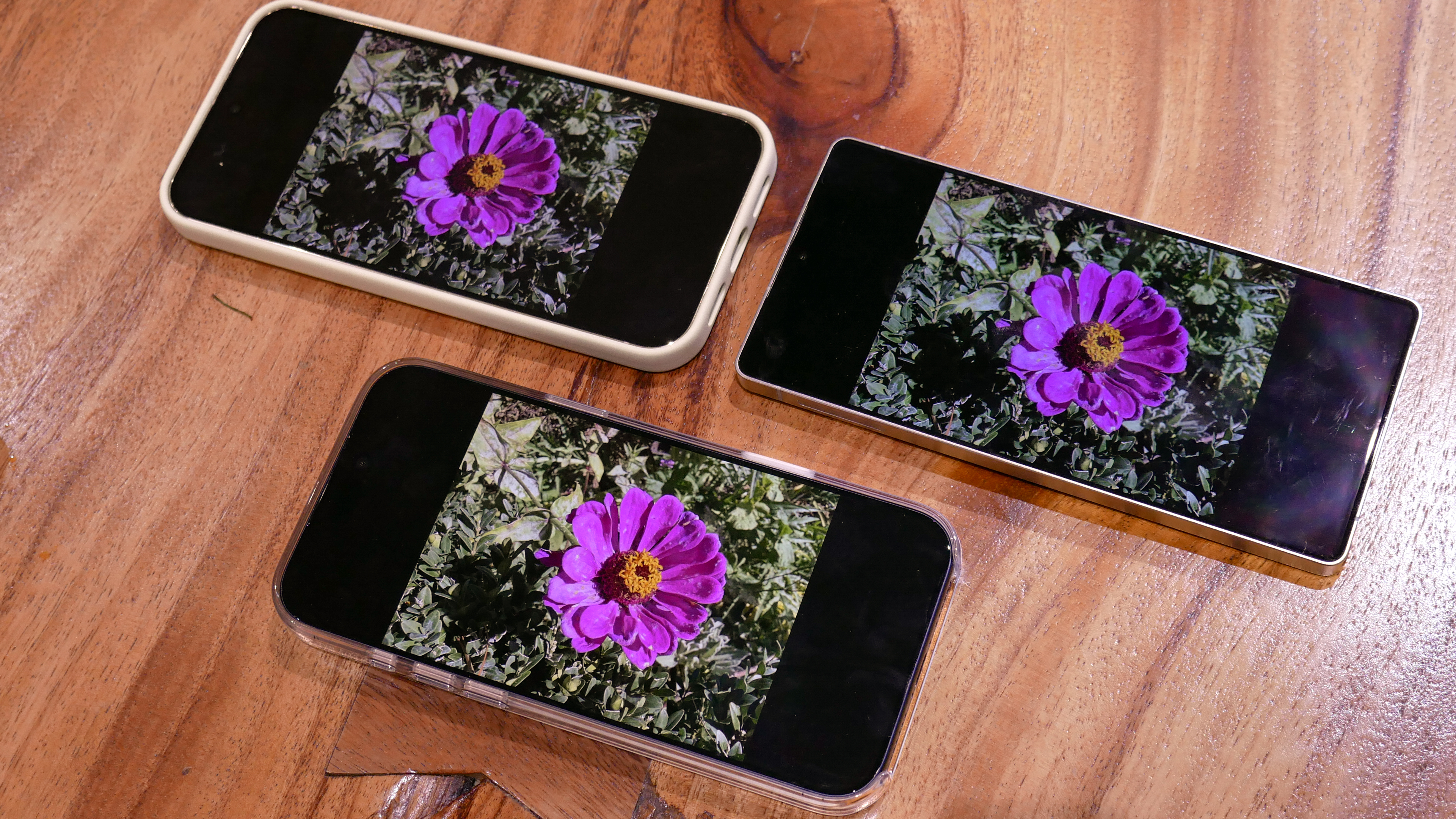 Flower photo displayed on iPhone 17 Pro Max, Galaxy S25 Ultra and Pixel 10 Pro XL
