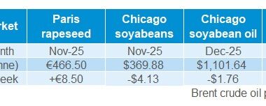 Oilseeds futures 13 10 2025.jpg