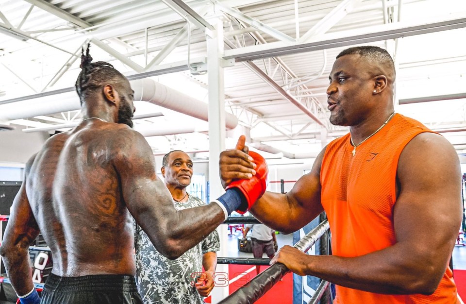 Wilder has regularly suggested a huge clash with Ngannou would be on the cards