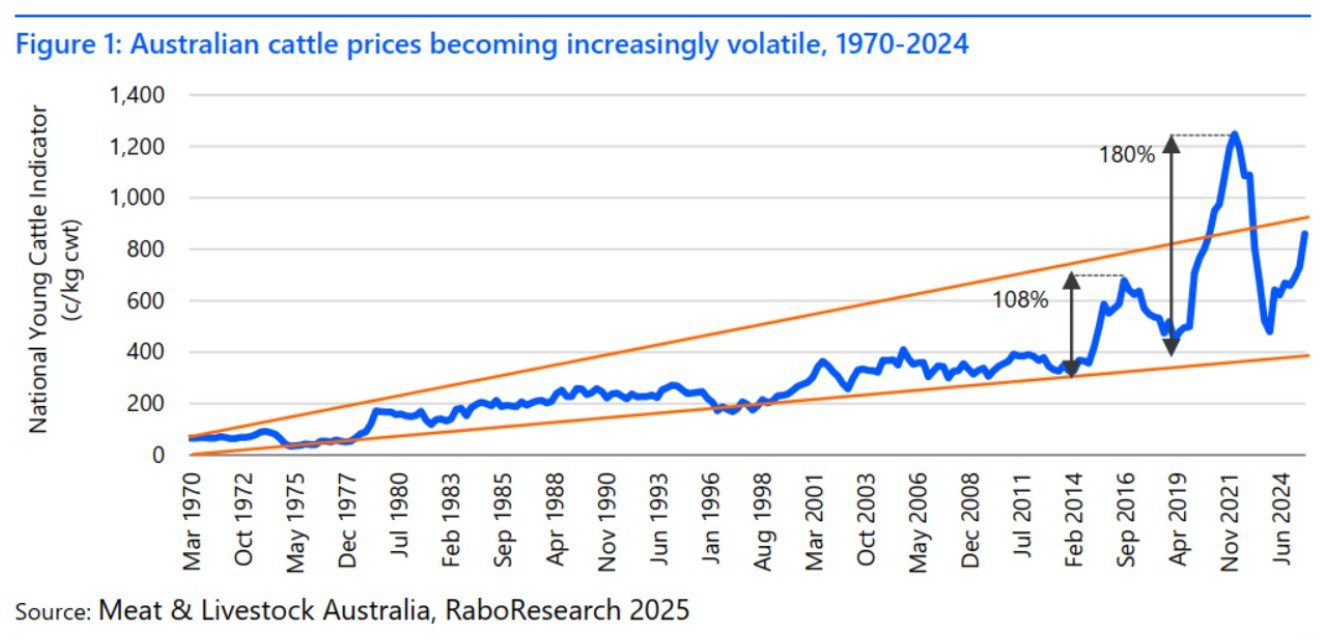 Aussie cattle markets becoming increasingly volatile, suggests industry report