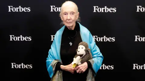 Getty Images Jane Goodall appears in front of the Forbes logo holding a toy monkey and banana in her hands.