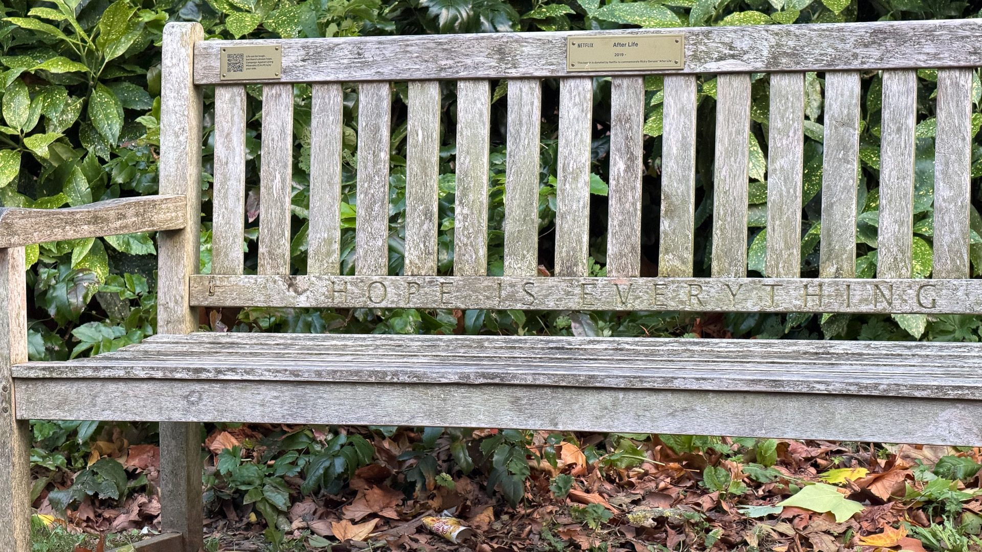 iPhone 17 Pro test shot