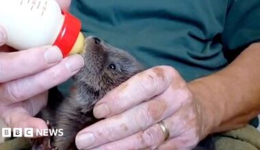 A woman dressed in a brown hoodie with her hair tied back is unscrewing a sign saying "Do not talk to or call the otters"