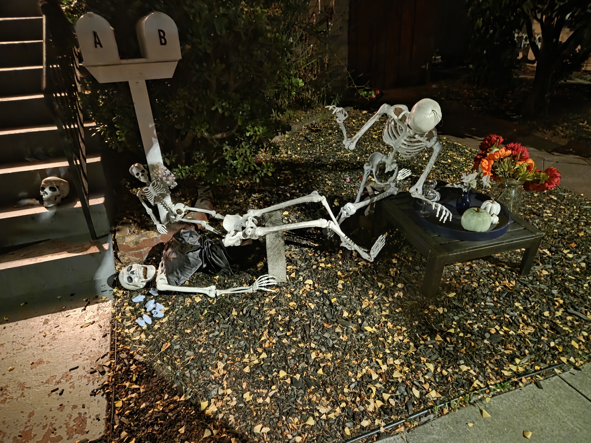 Yard skeletons by Galaxy S25 Plus