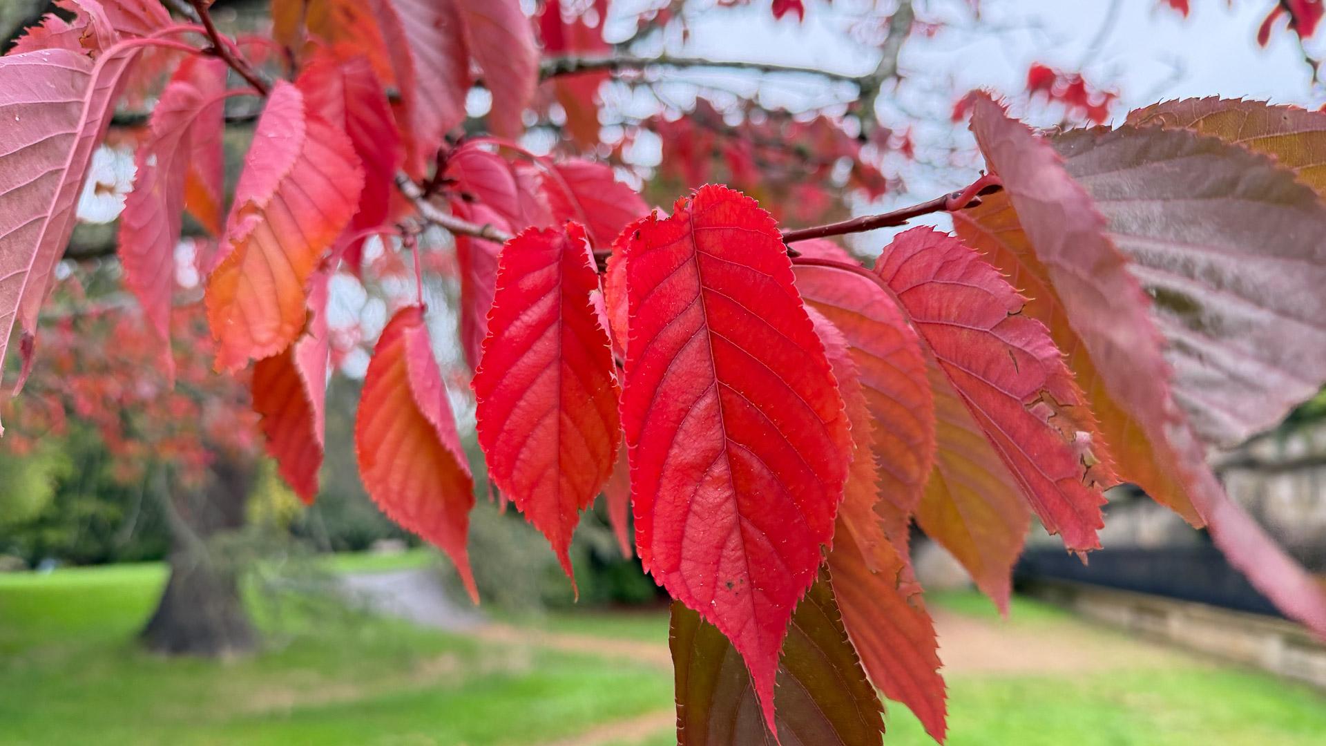 iPhone 17 Pro test shot