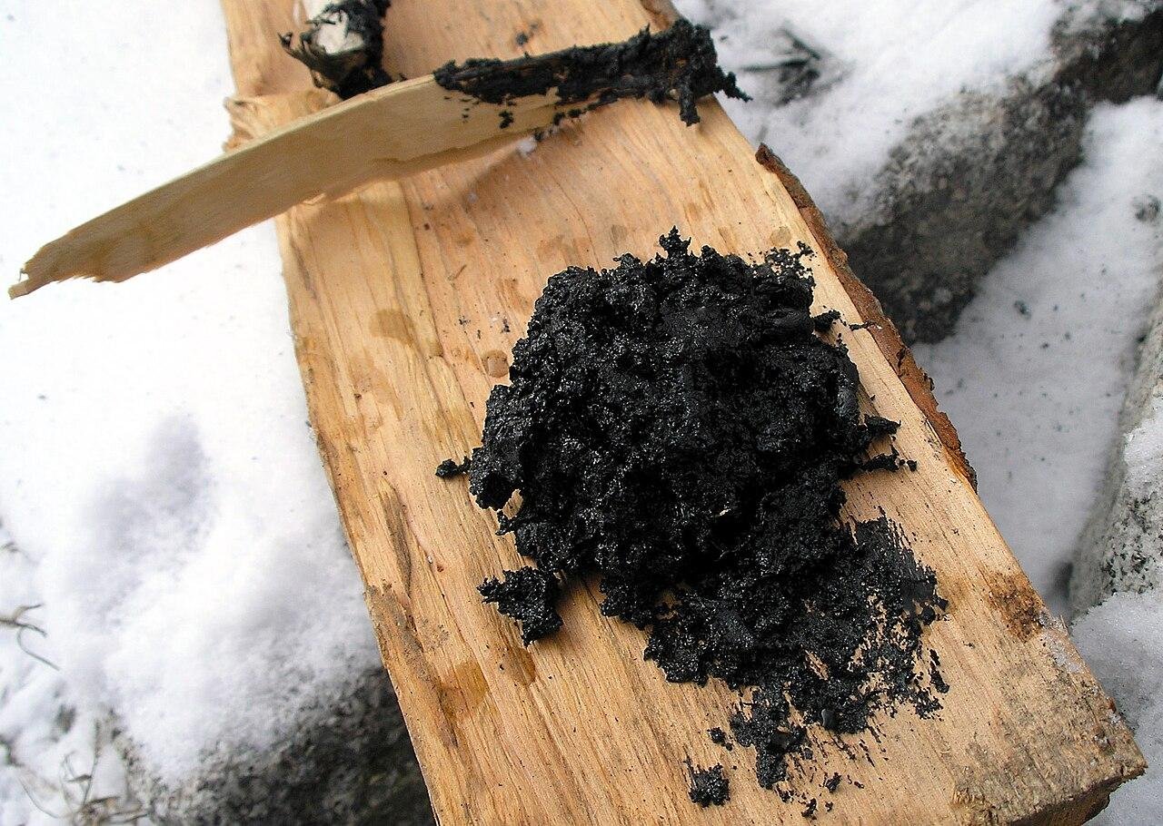 Ancient birch tar reveals how Europe’s first farmers chewed, cooked, and crafted 6,000 years ago
