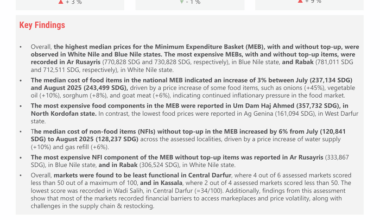 Sudan | Joint Market Monitoring Initiative (JMMI) Market Overview, August 2025 - Sudan