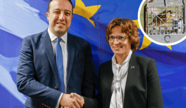 All above board for 'finch research season': Clint Camilleri