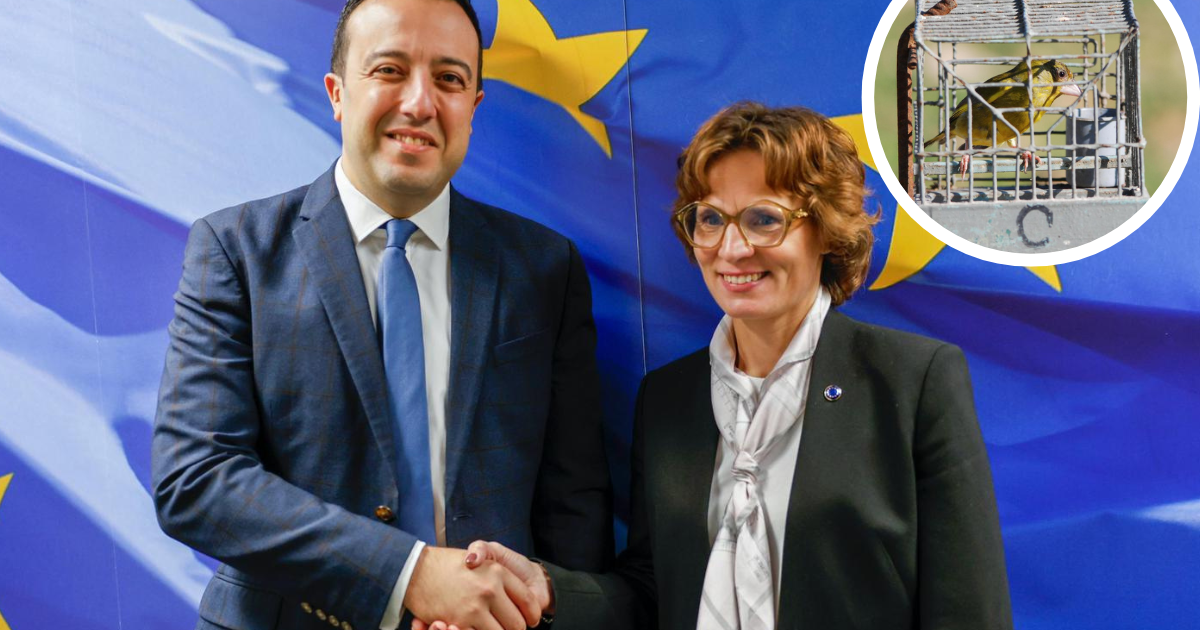 All above board for 'finch research season': Clint Camilleri