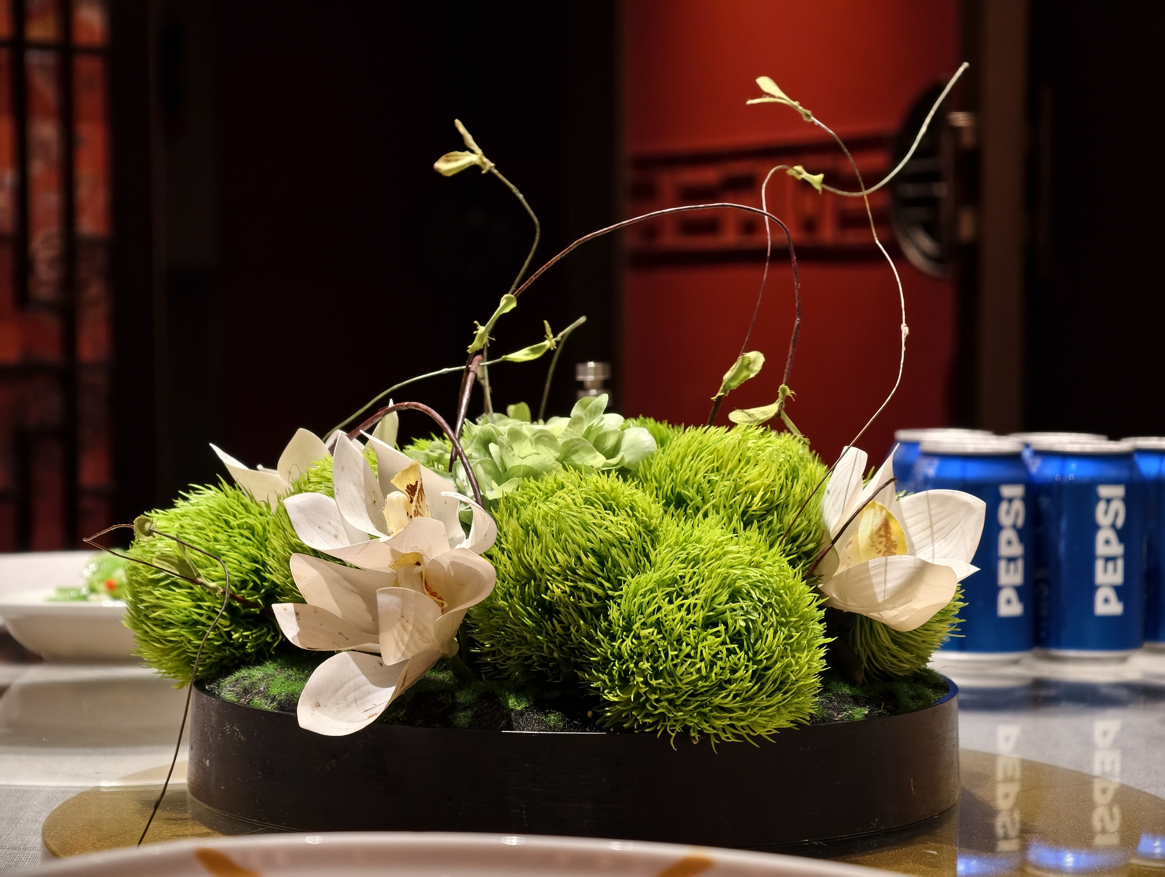 Vivo X300 Pro camera samples