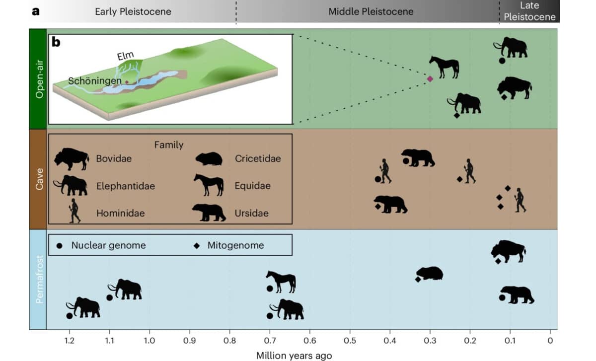 Environmental Contexts And Temporal Distributions Of Pre 100 ka Nuclear Genomic Data Andor Mitogenomes