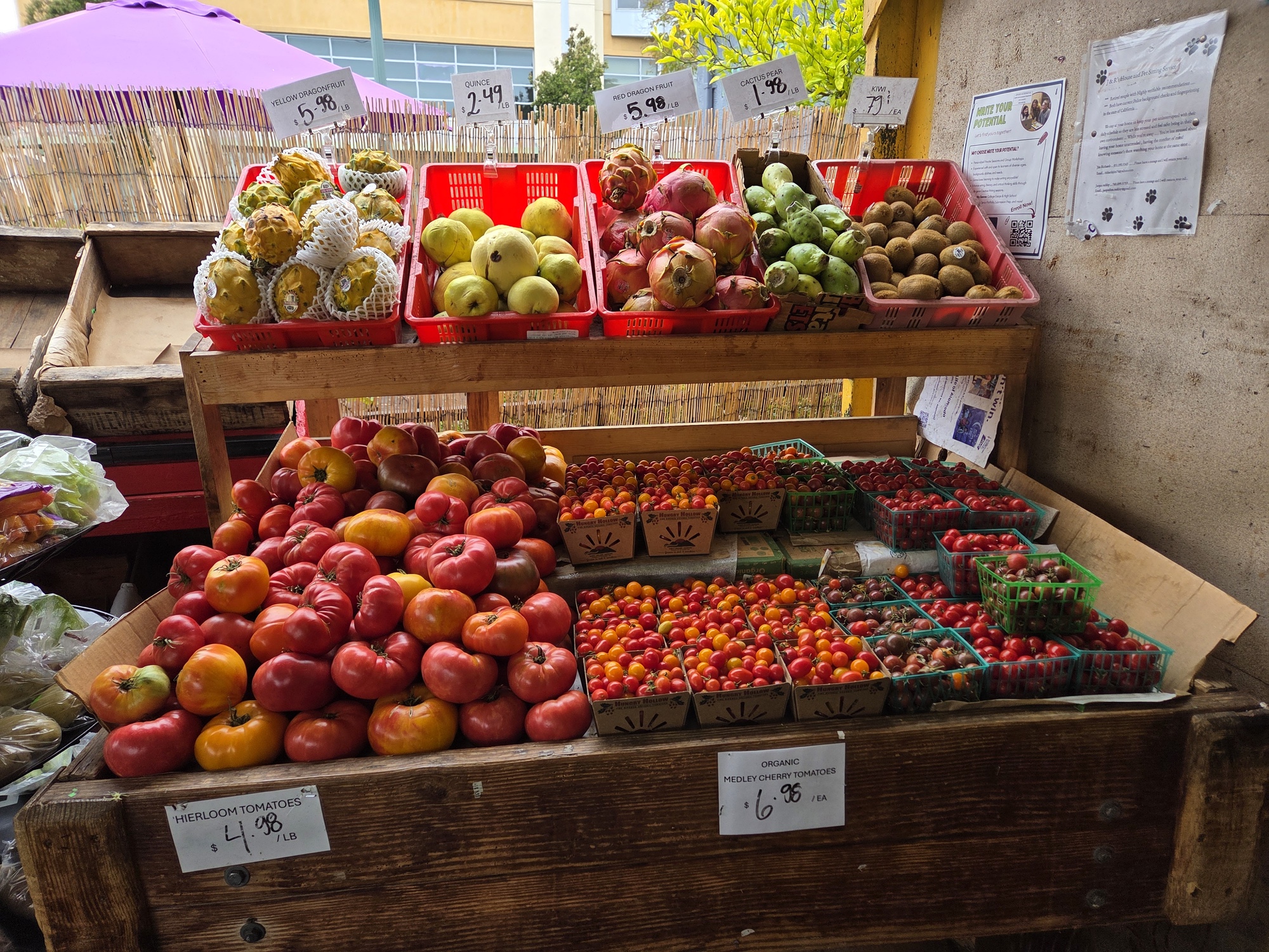 Tomatoes shot by Galaxy S25 Plus