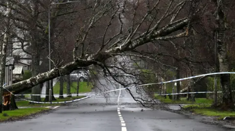Getty Images A tree down in Helenburgh.