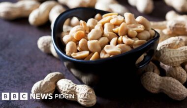 Nutrition: Health benefits of peanuts