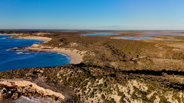 aerial view of bush and coast in south australia, national park, wilderness.