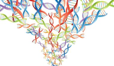 1 gene, 1 disease no more – acknowledging the full complexity of genetics could improve and personalize medicine