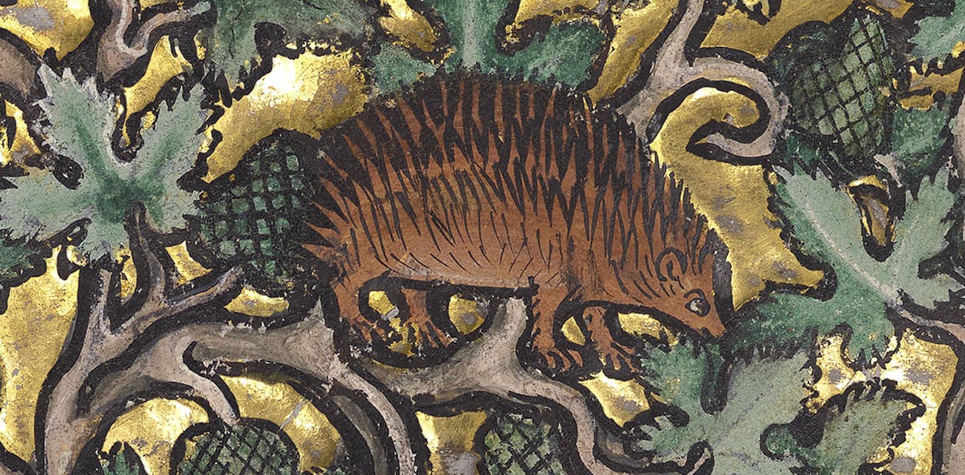 The medieval folklore of Britain’s endangered wildlife ‘omens’ – from hedgehogs to nightjars