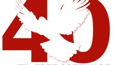 Librephone project wants to remove proprietary "blobs" from smartphones that otherwise run open source software