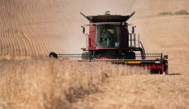 A ‘soybean farmer’ himself, Treasury Sec. Bessent said he’s feeling ‘pain’ from China, too