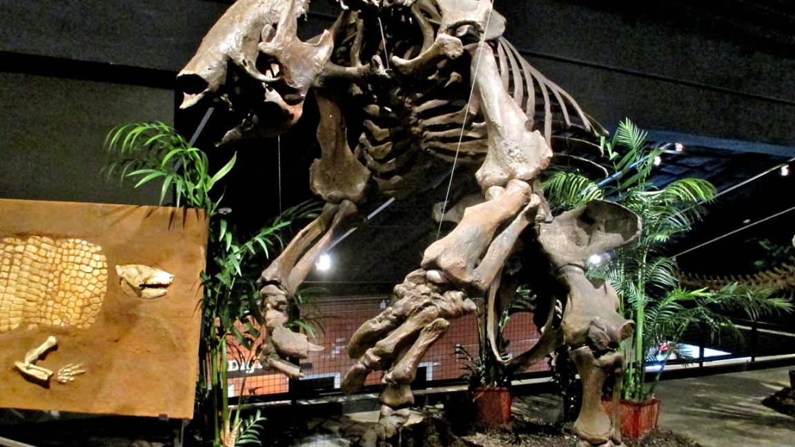 Megafauna was the meat of choice for South American hunters