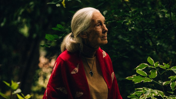 the last testament of Jane Goodall