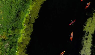 Top 10 countries with the most freshwater resources in the world in 2025