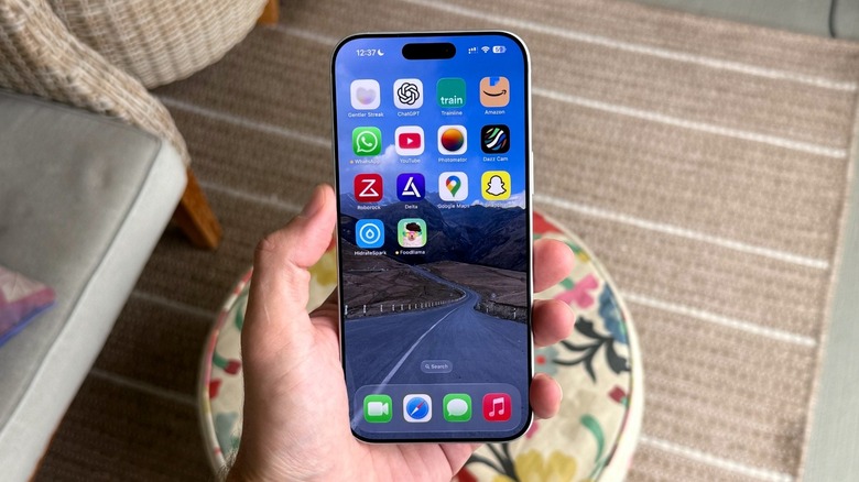 iPhone 17 Pro Max Home Screen highlighting third-party apps