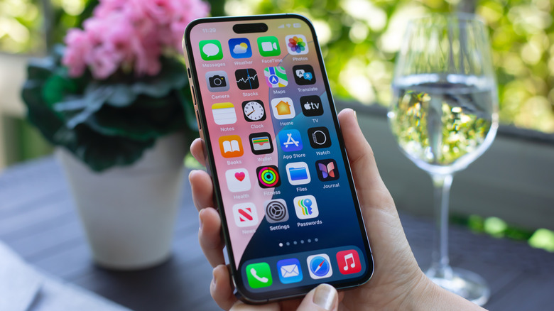 Hands holding an iPhone displaying its Home screen, with a glass of water and a pink potted flower blurred in the background