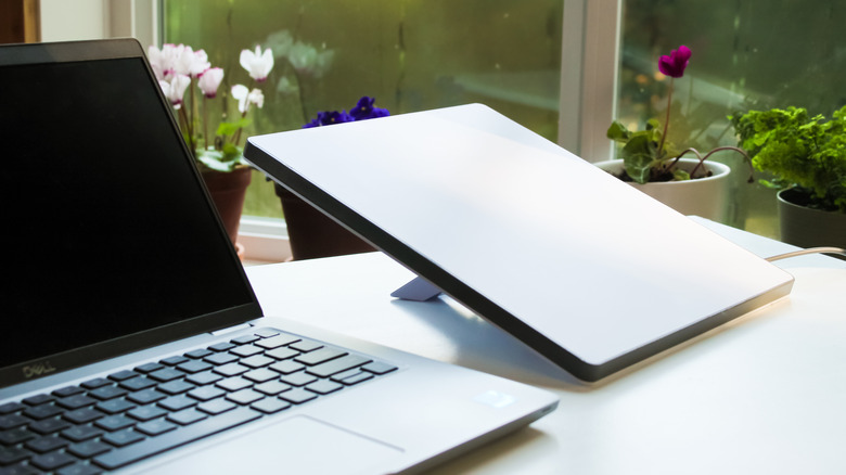 Starlink Mini on a desk next to a laptop