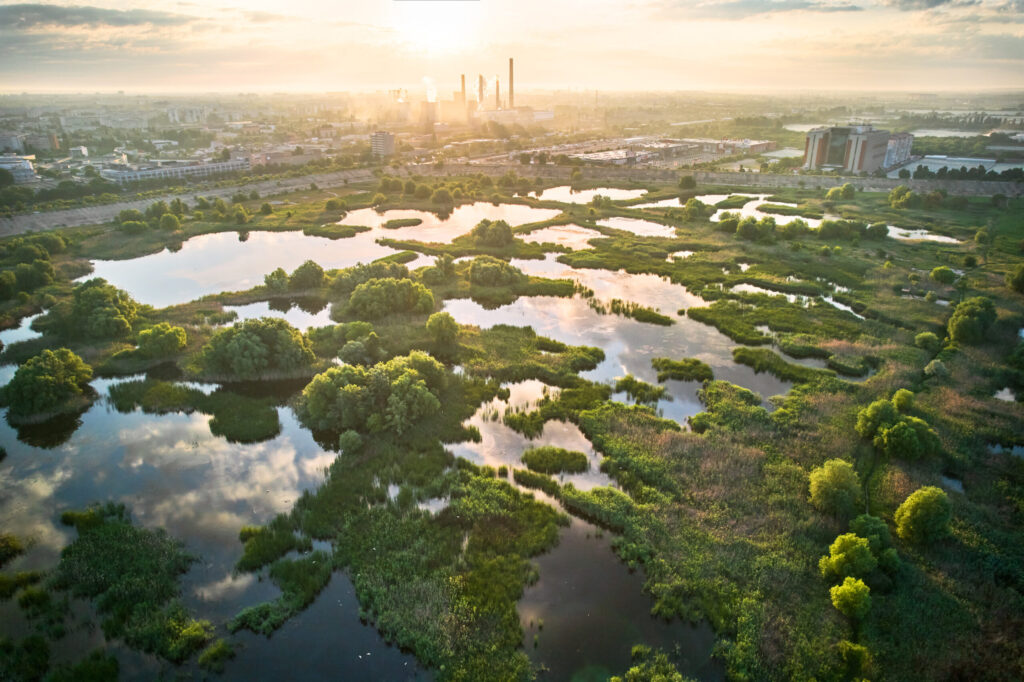 aerial shot of Văcărești Nature Park in Bucharest