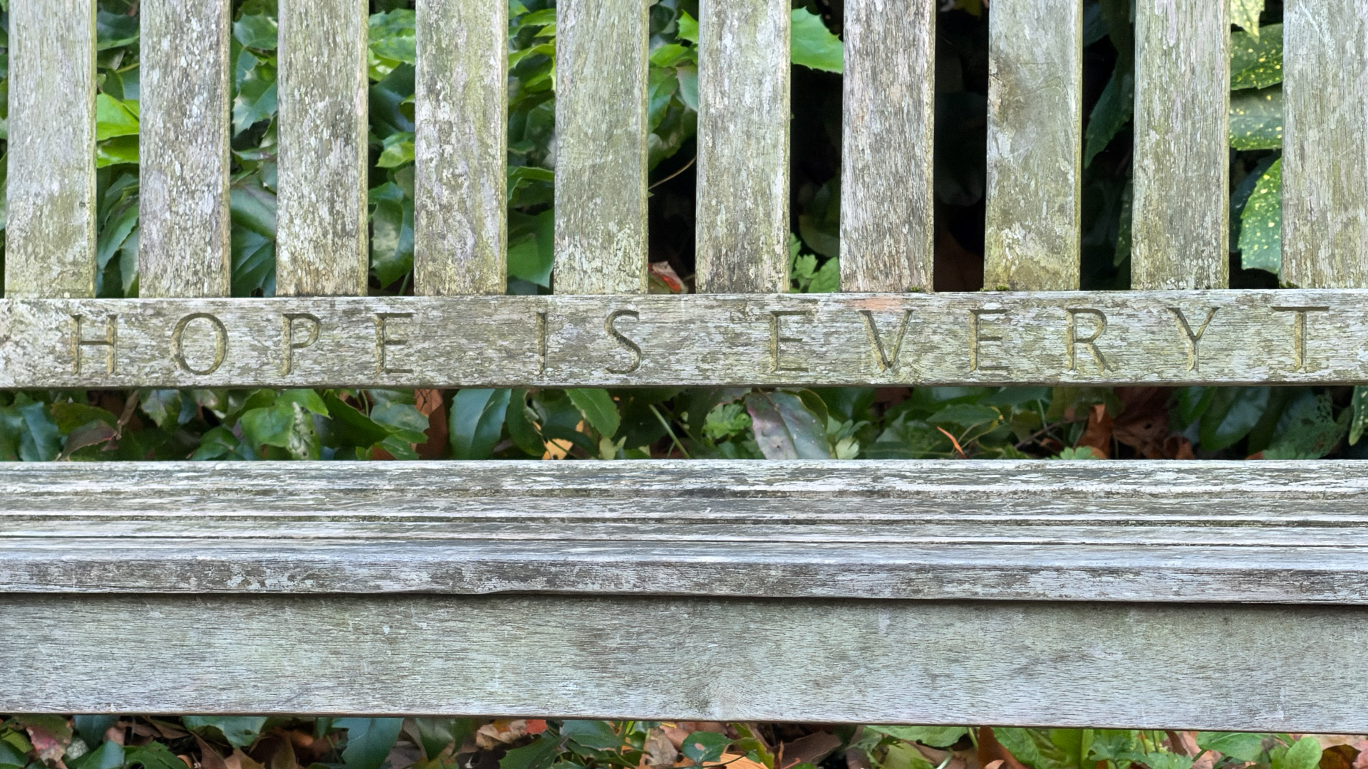 iPhone 17 Pro test shot