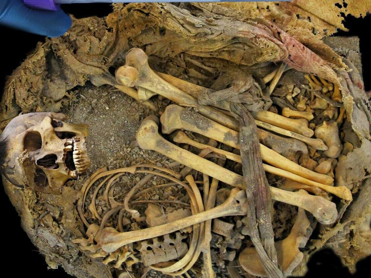 1,000-year-old Mesoamerican mummy from Mexico reveals ancient human gut microbiome