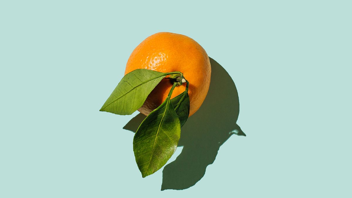 An orange with a few leaves still attached to it's stalk on a blue-green background