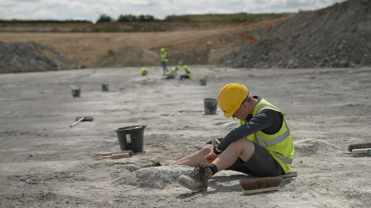 In the footsteps of giants