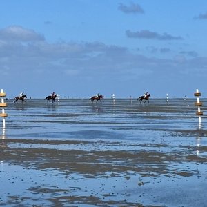 Here’s mud in your eye: spotlight on German beach racing