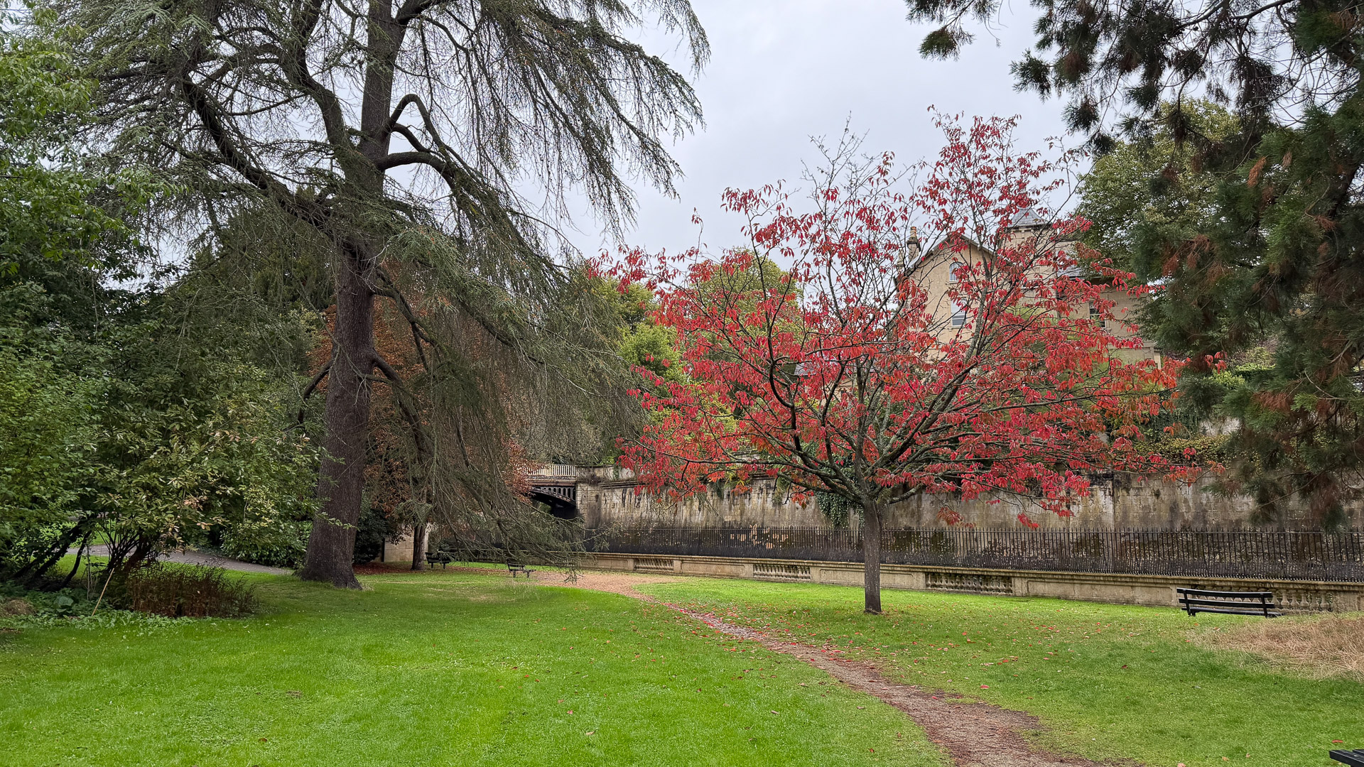 iPhone 17 Pro test shot