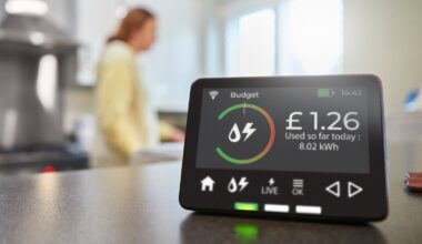 A smart meter. File pic: iStock