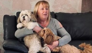 Yvonne Nichol died following the crash on the A7 near Ashkirk. Pic: Police Scotland/PA