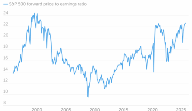 Why stock markets are rising despite bubble fears and what investors might consider