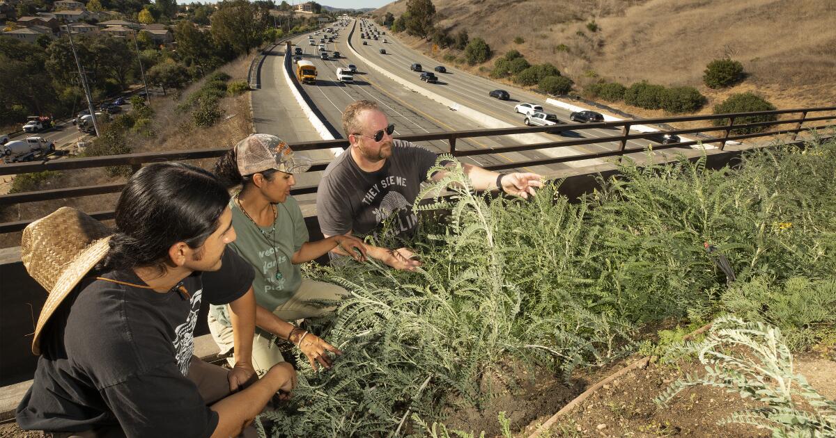The Wallis Annenberg Wildlife Crossing is getting plants this month