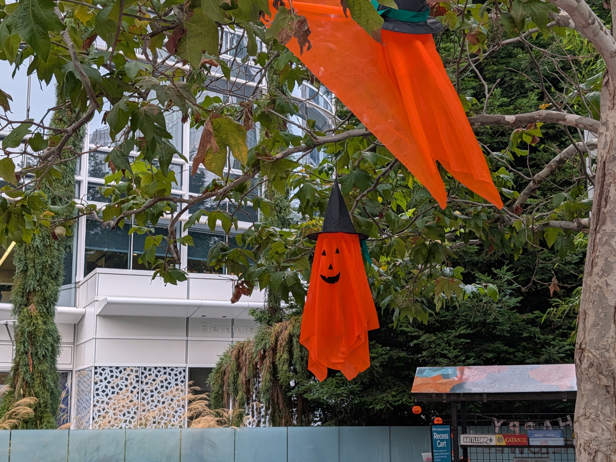 Halloween decorations by Pixel 10 Pro