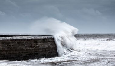 Warnings are issued for wind and rain