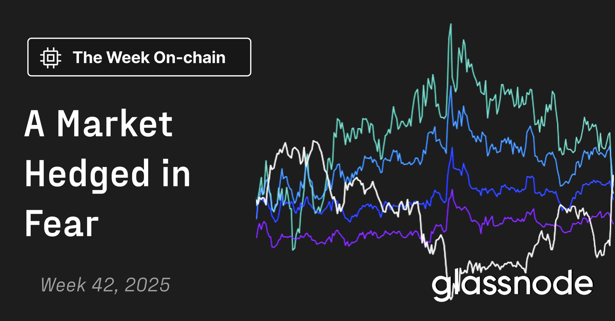 A Market Hedged in Fear