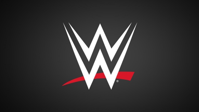 New WWE contracts have lengthy non-compete if fired for cause or breach