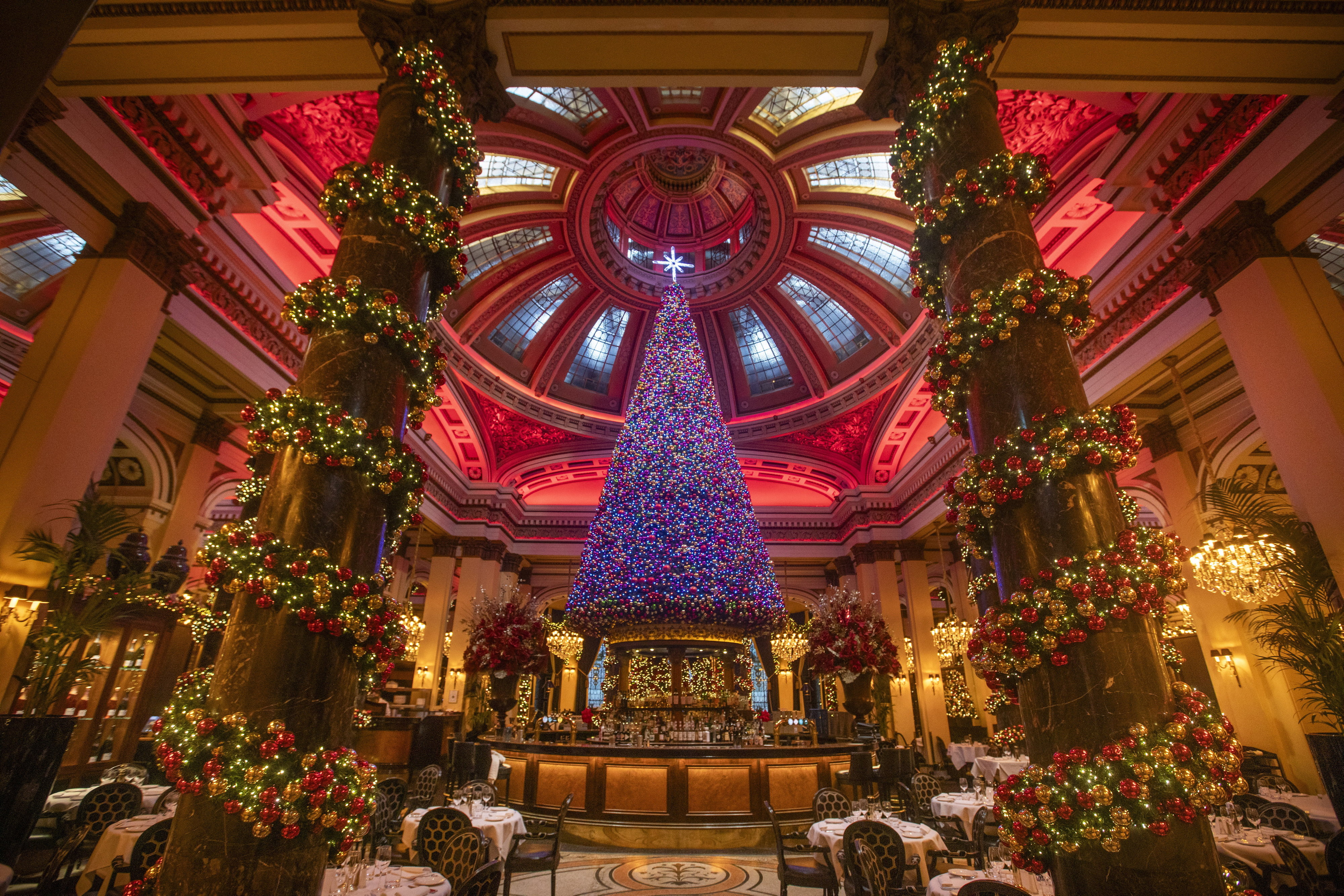 Dome Christmas Tree which requires over half a million lights to shine