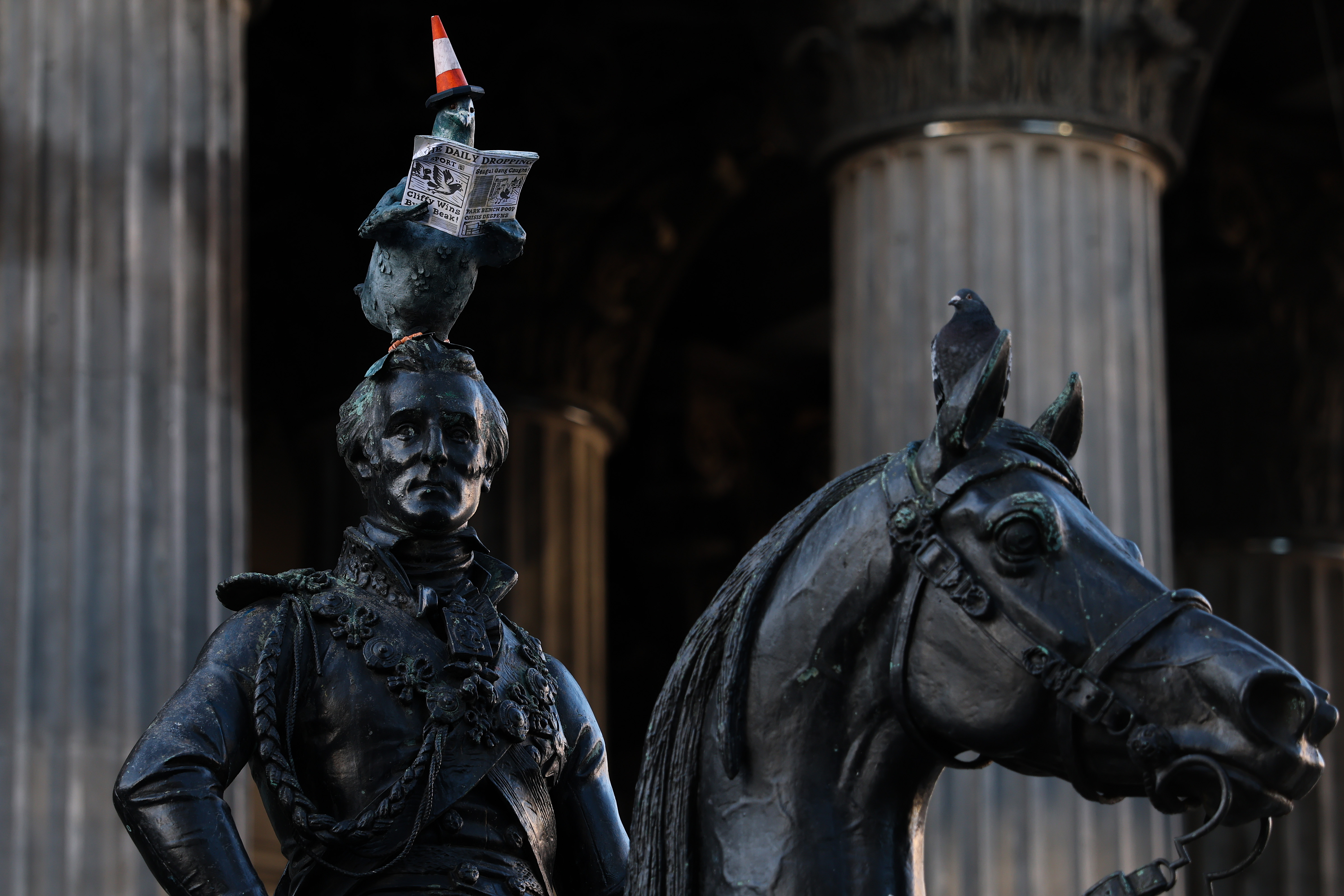 Artwork of a pigeon wearing a traffic cone and reading a newspaper on the Duke of Wellington statue.