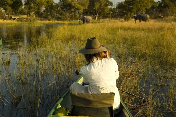 Selinda Spillway, Selinda Reserve, Botswana.