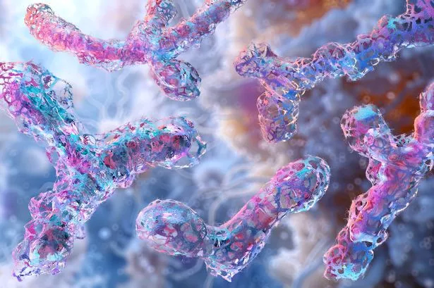 More than half of the antibiotic-resistant infections in England were caused by E.coli