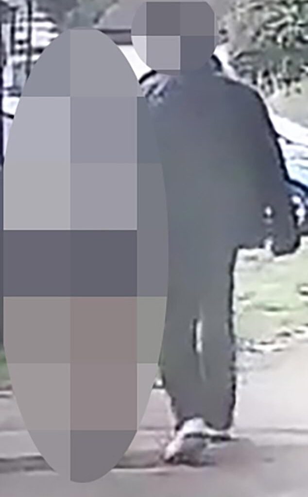 CCTV footage from a resident's house near the scene of the attack which appears to show a man walking with the girl, who is white